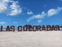 /album/fotogaleria-mexiko-zajazd-vy-a-my/jamajkanita-zajazd-mexiko-14-jpg/